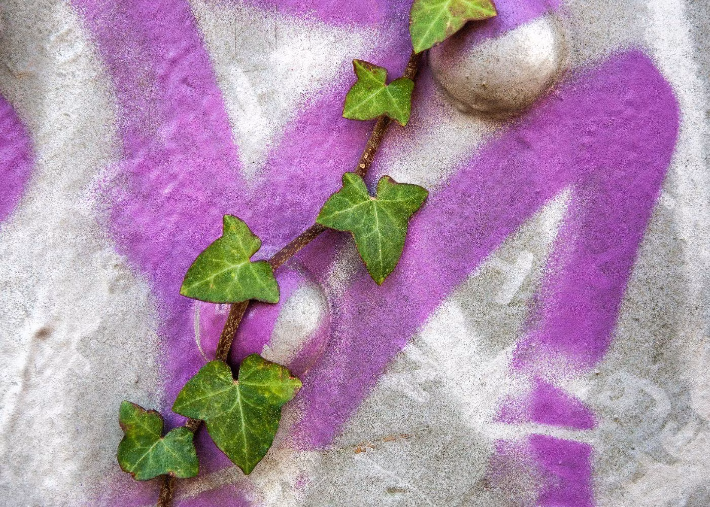 A Purple-Coloured Wall Painting With Green Leaves on It