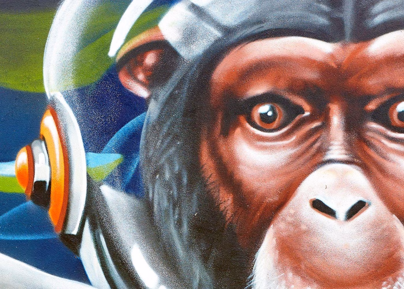 A Wall Painting in Kingswood With a Monkey Wearing Headphones