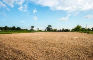 A dirt field with trees visible in the background.
