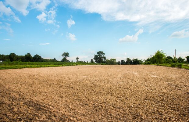 A dirt field with trees visible in the background.