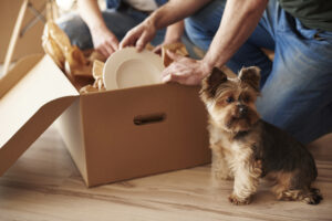 Man and woman unloading boxes containing plates together.