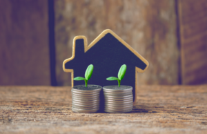 a house with a green plant growing out of it